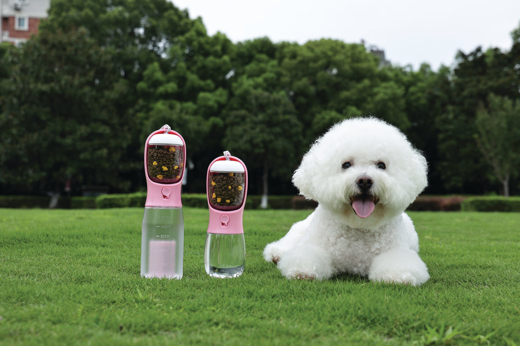 ON THE ROAD Dog water bottle 300 ml - 2 in 1 - Pink bloom
