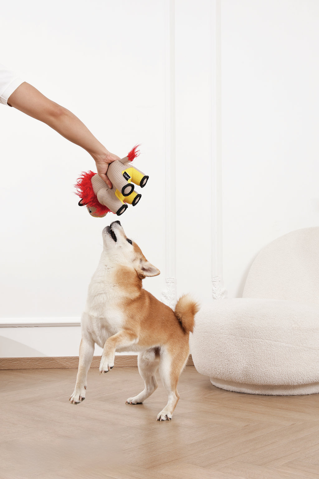 MEGA Dog toy Lion