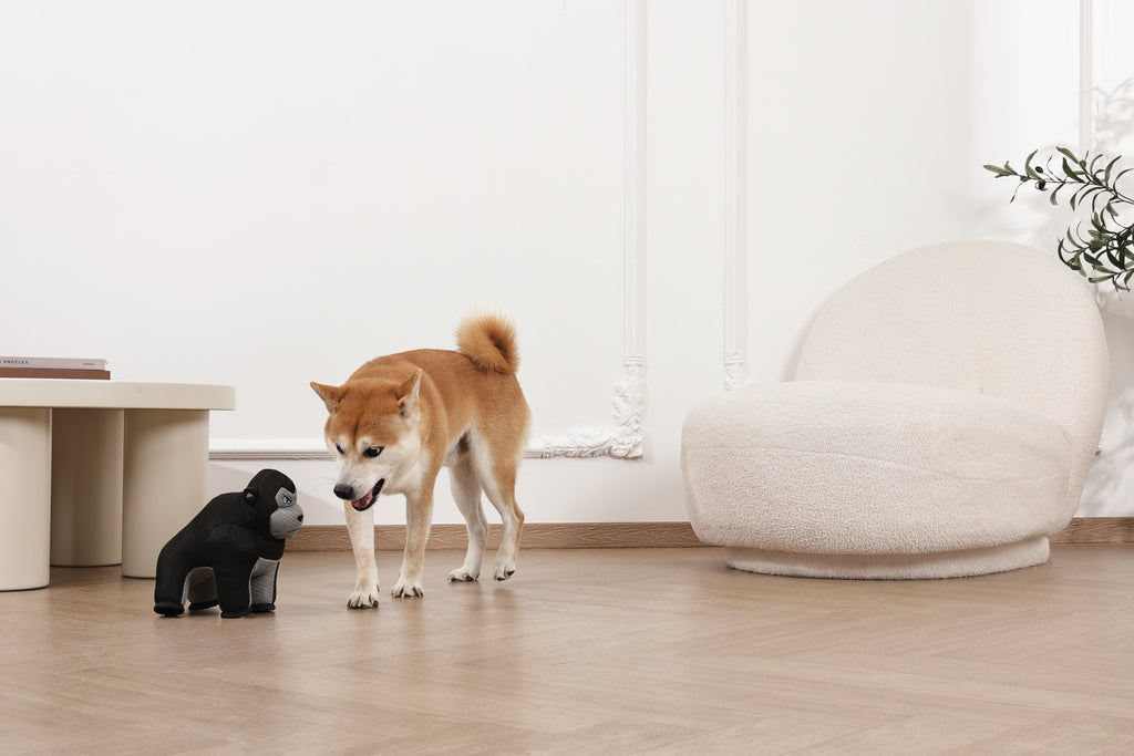 MEGA Dog toy Ape