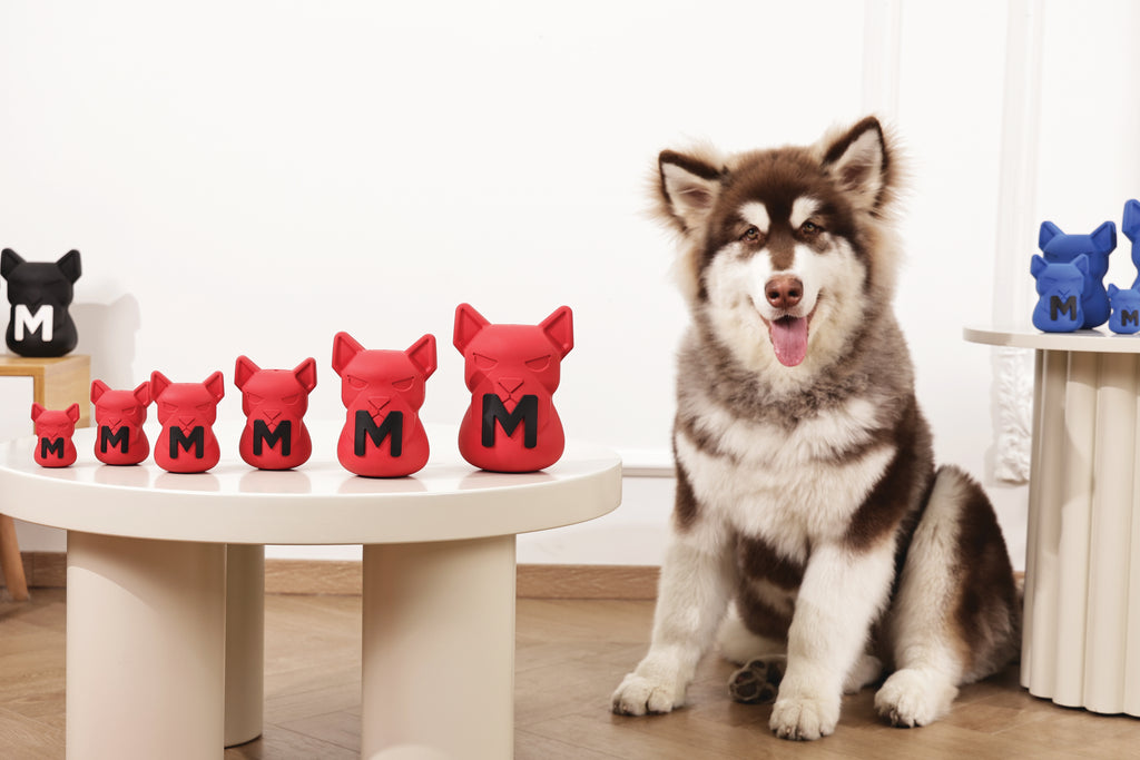 POWER CHEW Dog toy Ruby