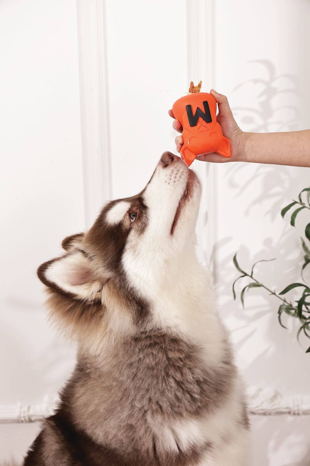 POWER CHEW Dog toy Citrine