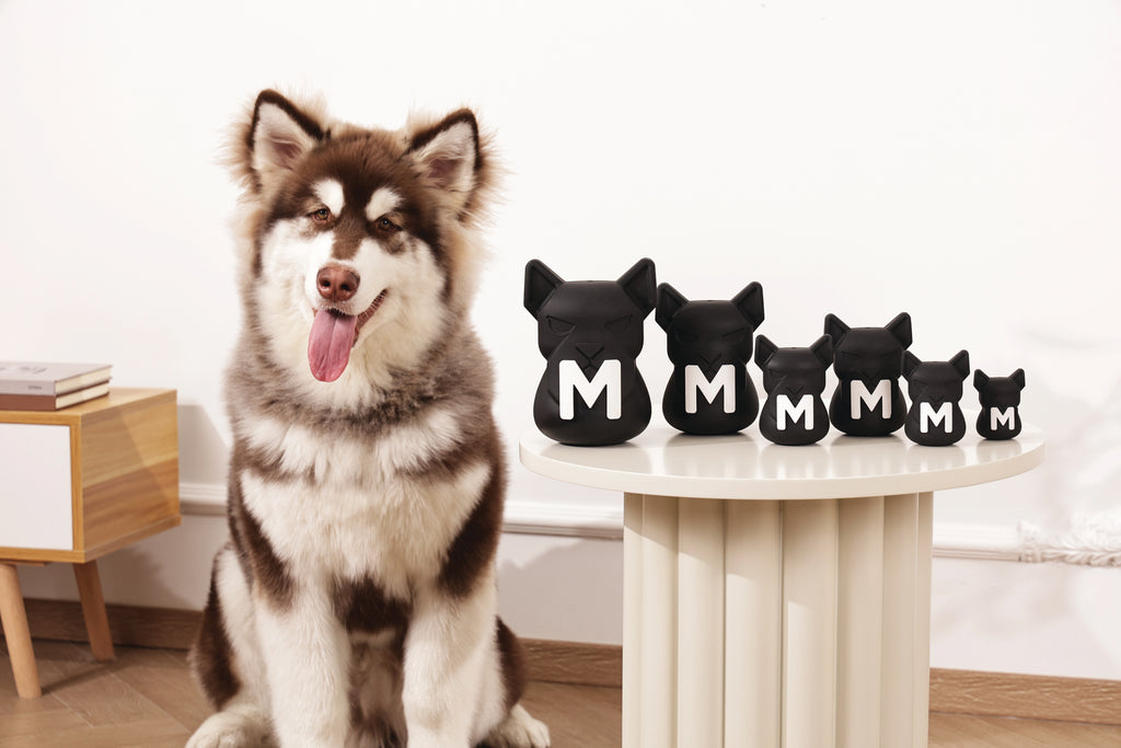 POWER CHEW Dog toy Jet