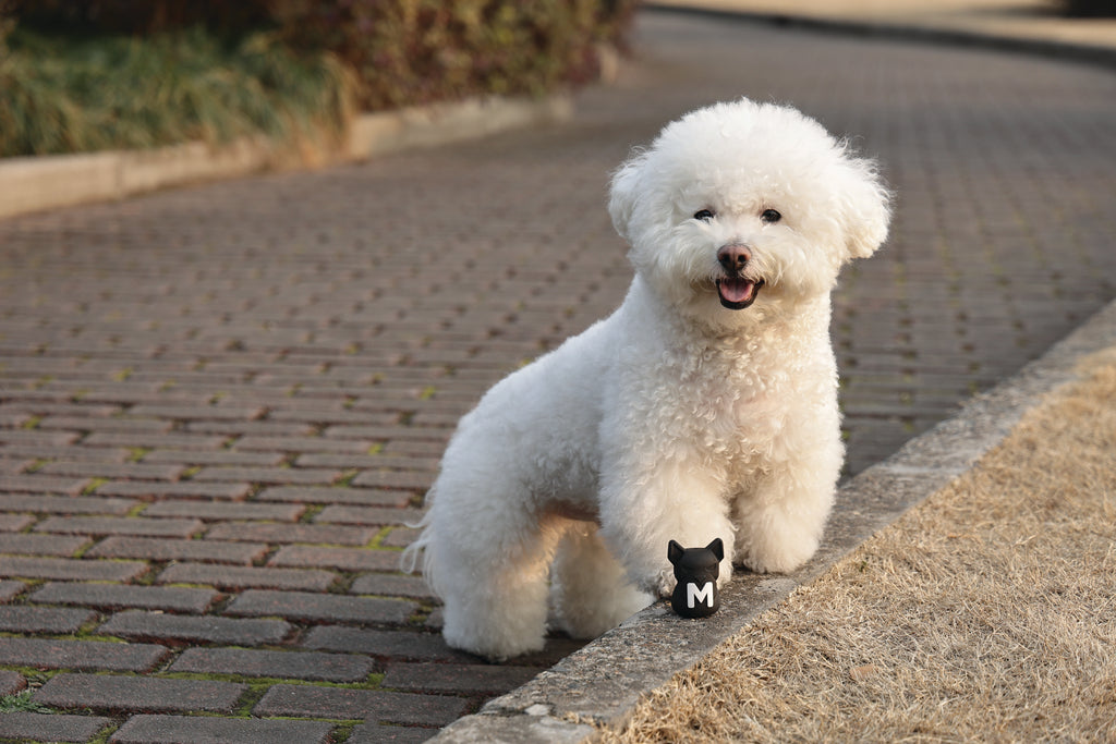 POWER CHEW Dog toy Jet