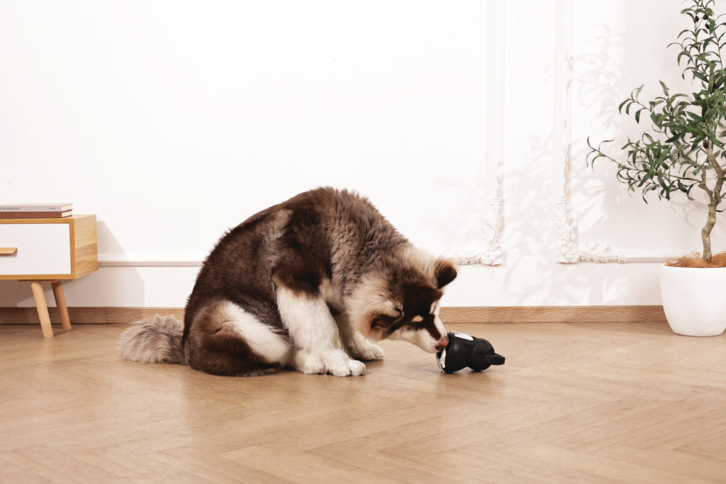 POWER CHEW Dog toy Jet