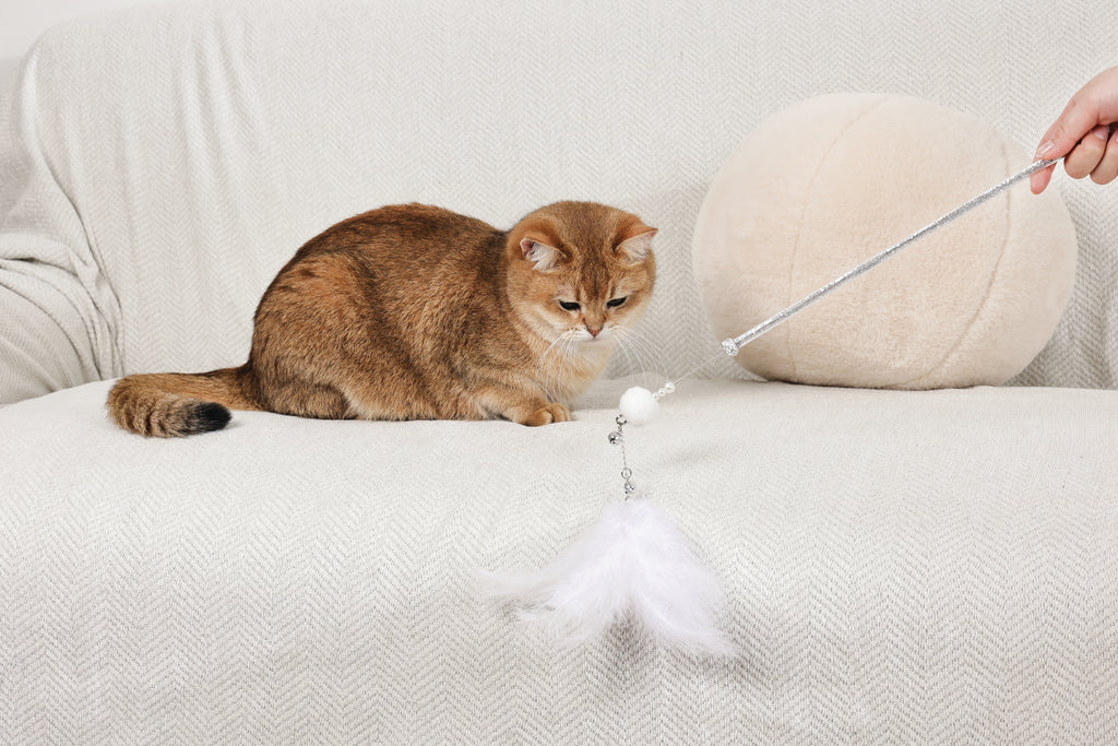 MoonCAT bacchetta per gatti Piuma Stellare - Rosa/Blu Argento & Bianco