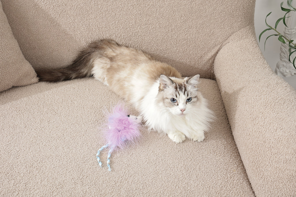 Plume catnip toy Blue fish