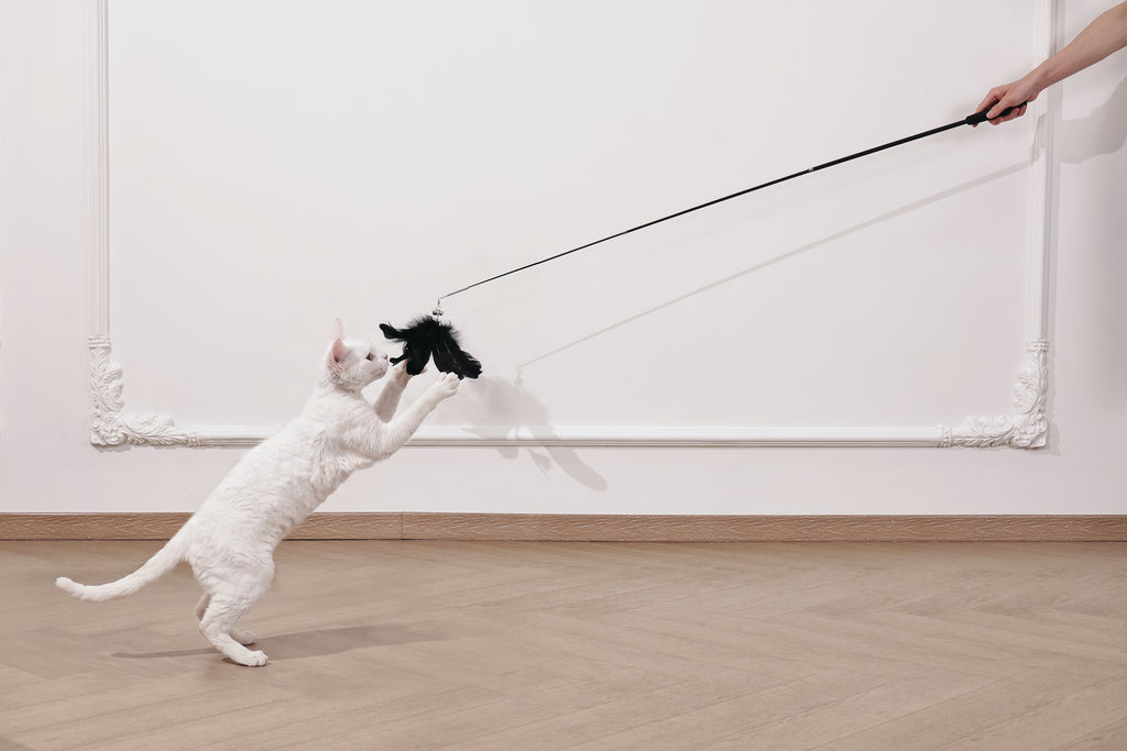 Moon cat Telescopic cat wand 3 sections Moonveil Whisper