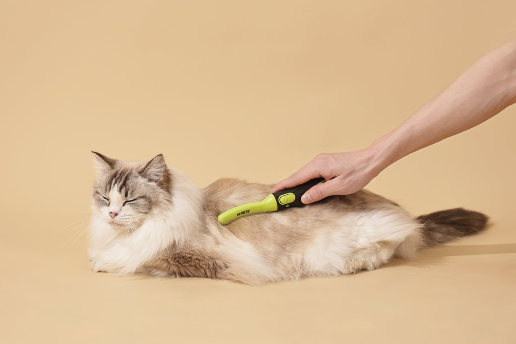 CLICK AND GROOM Curved brush