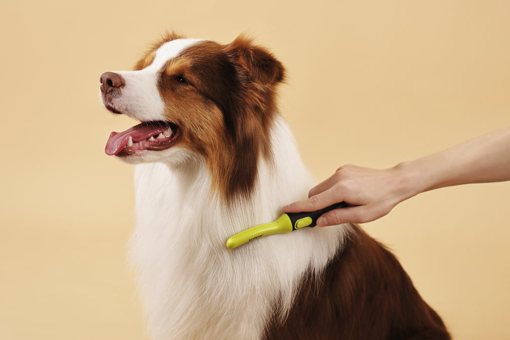 CLICK AND GROOM Curved brush