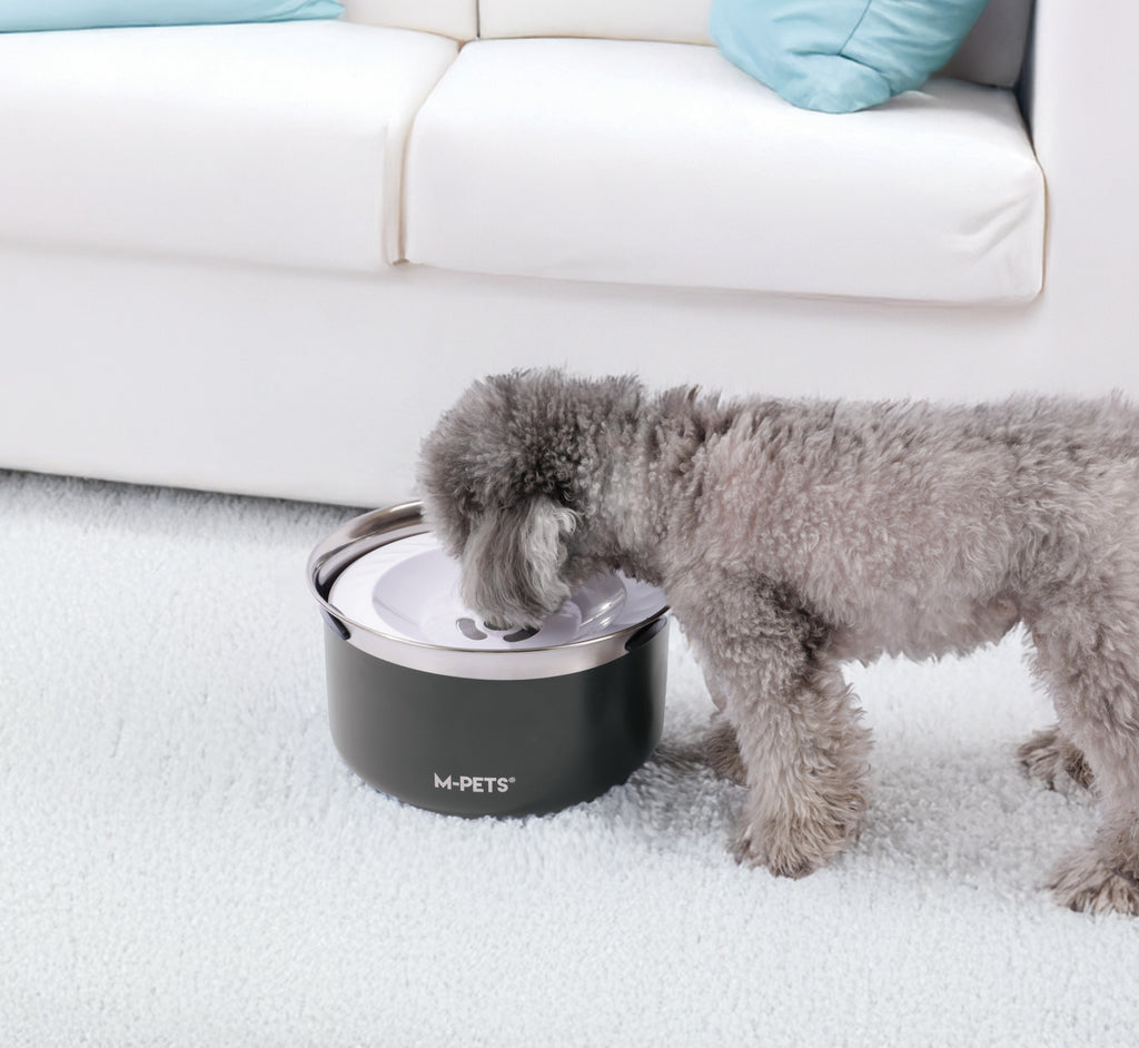 Ciotola per Cani Antispruzzo 3,7L - Nero Carbone