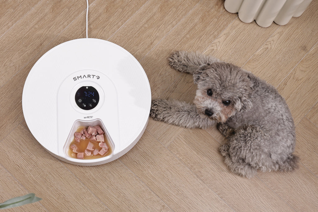 SMARTO M900 Distributore Automatico di Cibo Refrigerato per 6 Pasti