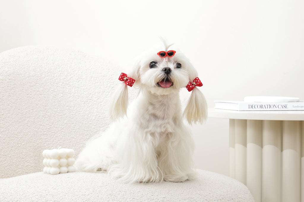 GLAM Accessori per capelli per animali clip e elastico - Rosso