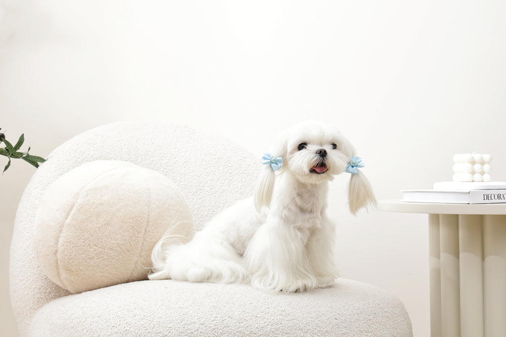 GLAM Accessori per capelli per animali elastico con perla - Blu