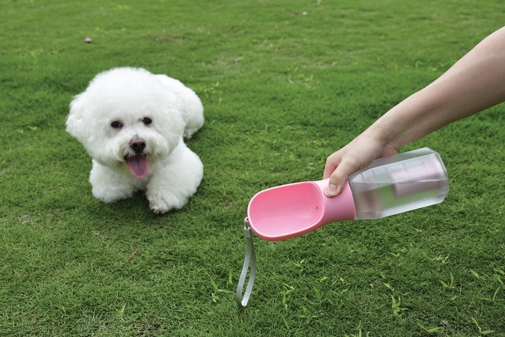 ON THE ROAD Dog water bottle 600 ml - 3 in 1 - Pink bloom