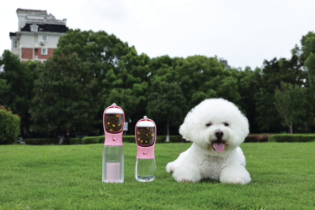 ON THE ROAD Dog water bottle 600 ml - 3 in 1 - Pink bloom