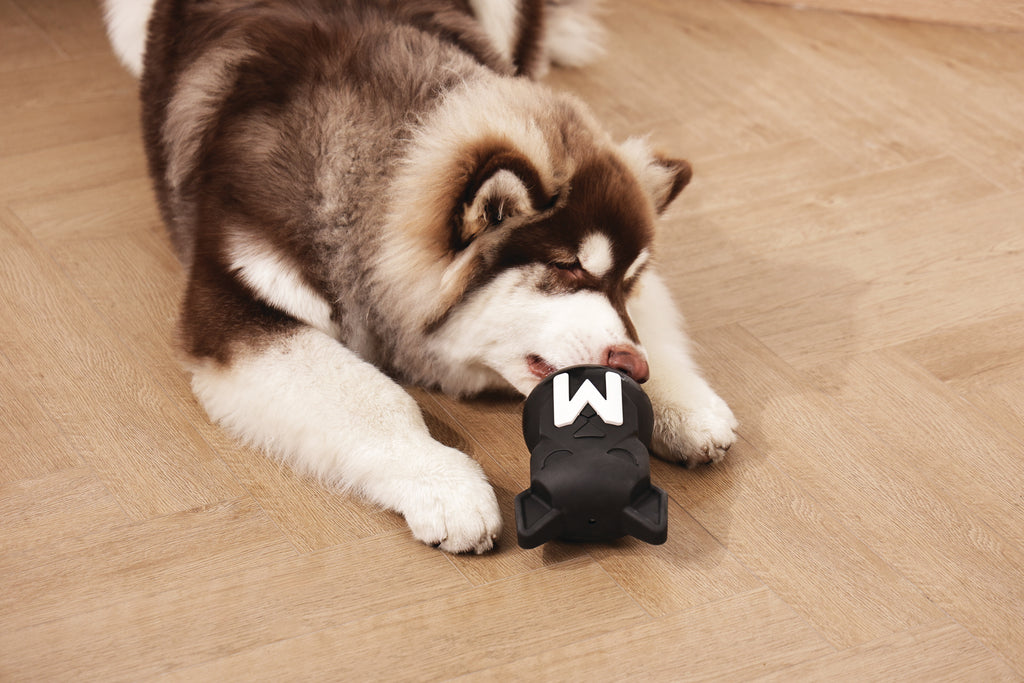 POWER CHEW Dog toy Jet