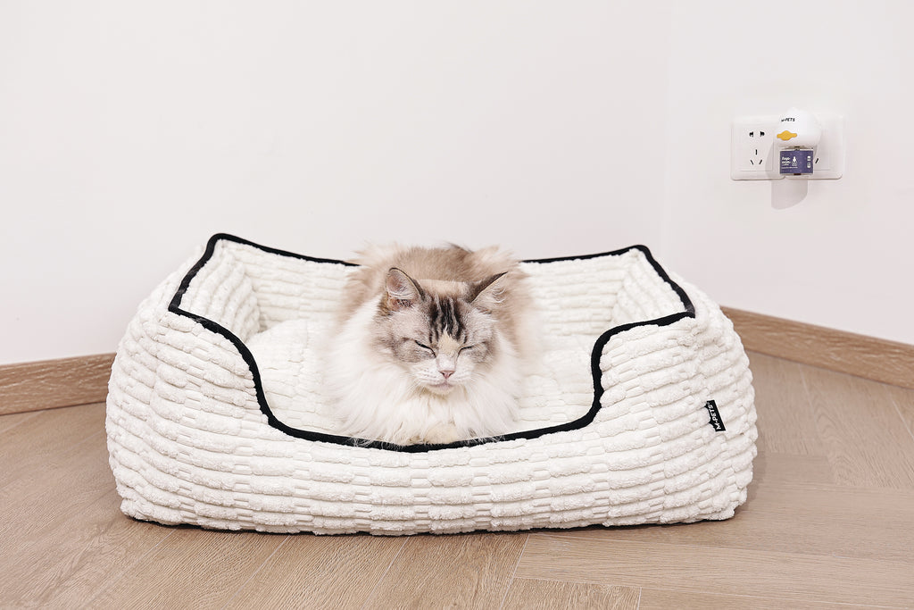 KEEP CALM - Diffusore di feromoni calmanti per gatti - 48ml