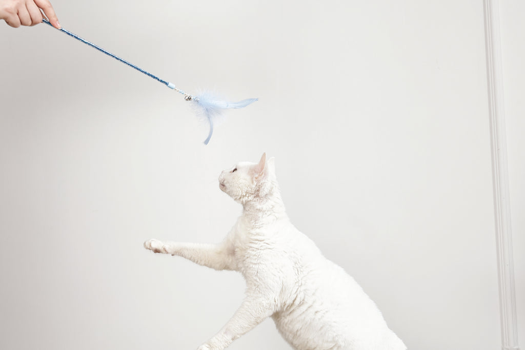 MoonCAT - bacchetta per gatti Piuma Galattica Rosa/Blu Argento e Bianco