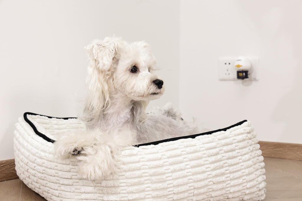 KEEP CALM Calming Pheromone diffuser for DOGS - UK Standard 48ml