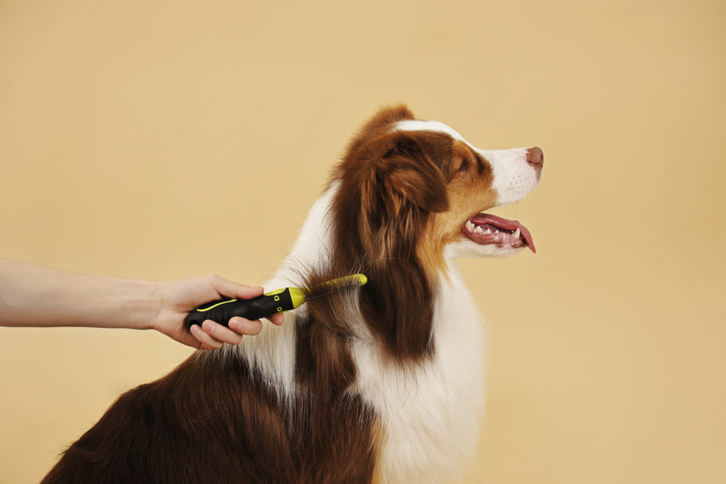 CLICK AND GROOM Curved brush