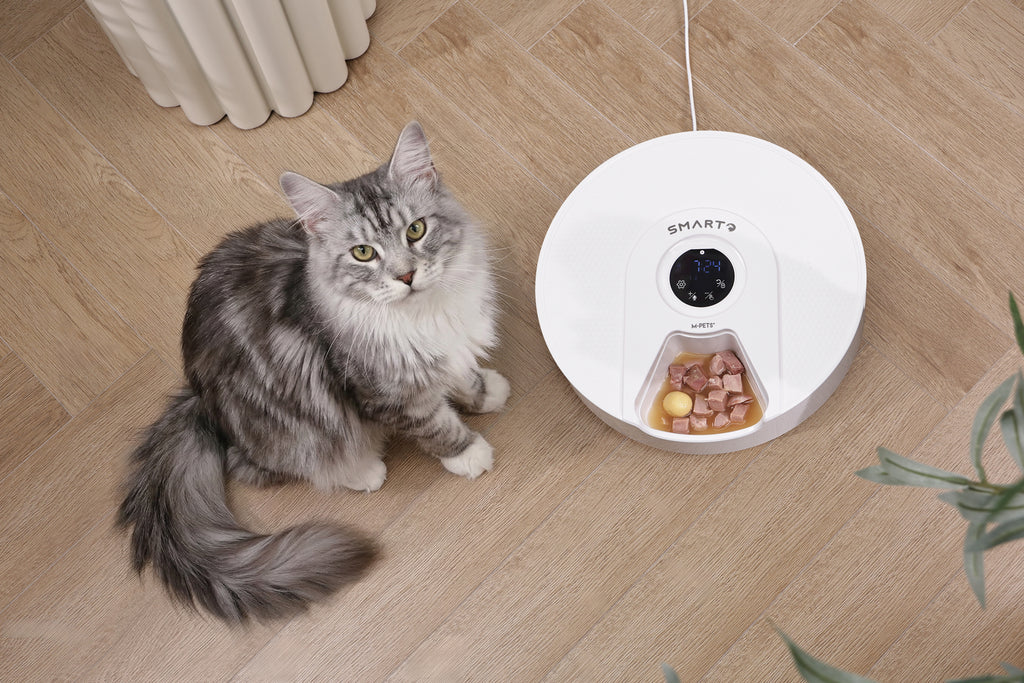 SMARTO M900 Distributore Automatico di Cibo Refrigerato per 6 Pasti