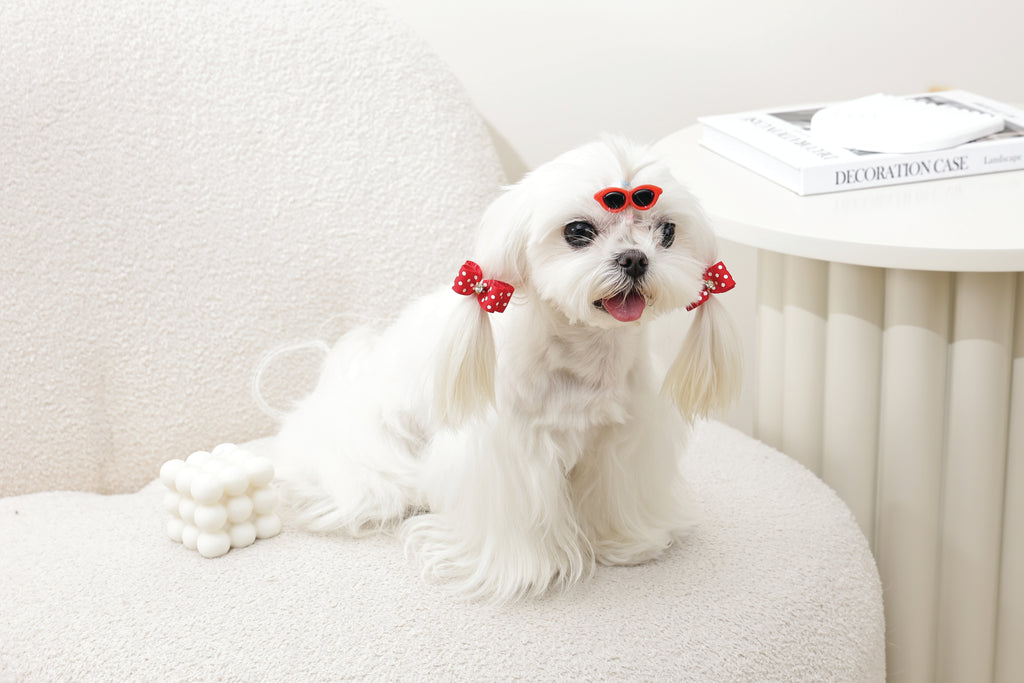 GLAM Accessori per capelli per animali clip e elastico - Rosso
