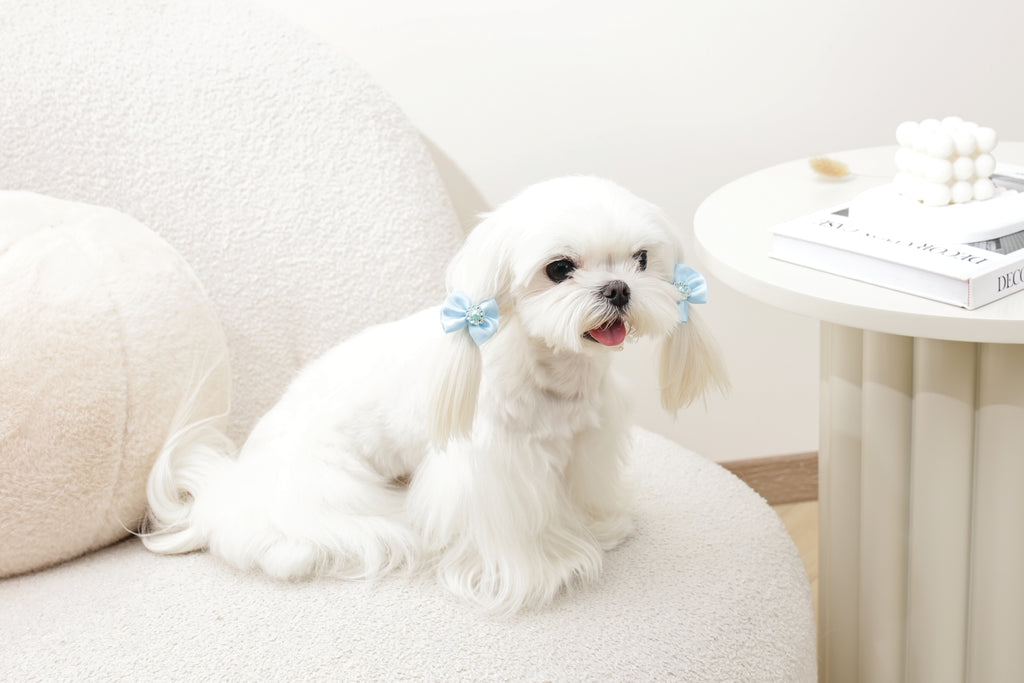 GLAM Accessori per capelli per animali elastico con perla - Blu