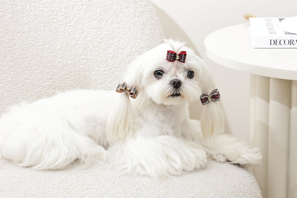 GLAM Accessori per capelli per animali clip e gomma - Rosso