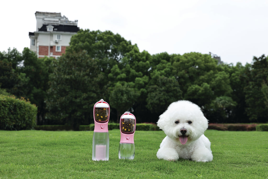ON THE ROAD Dog water bottle 300 ml - 2 in 1 - Pink bloom