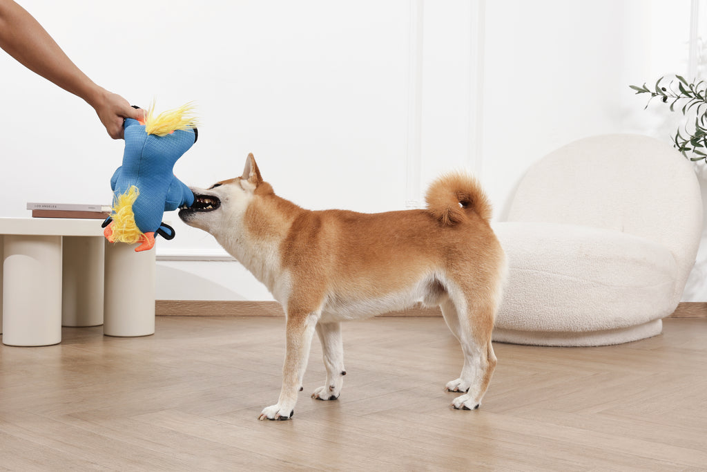 MEGA Dog toy Gnu