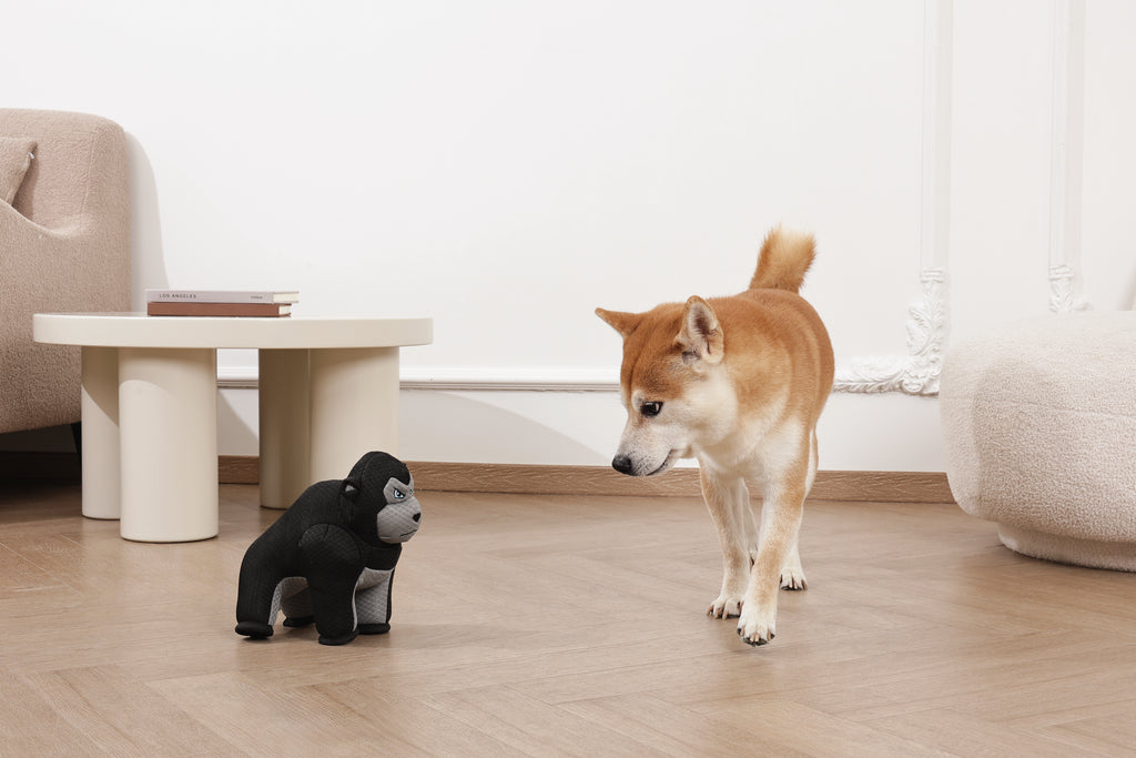 MEGA Dog toy Ape