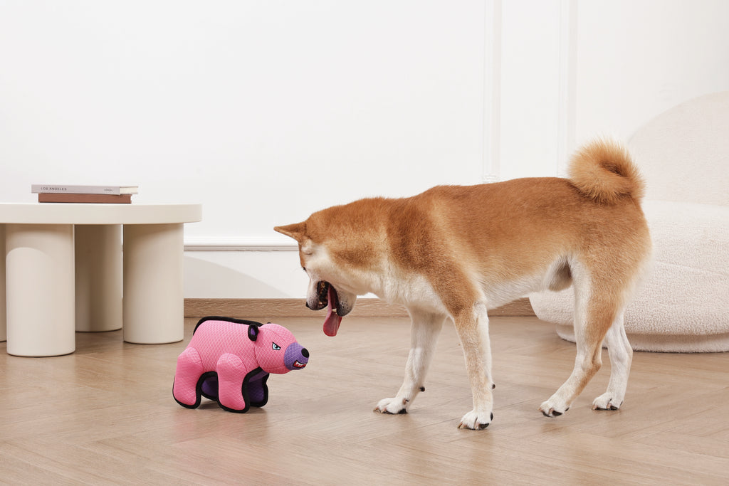 MEGA Dog toy Polar bear