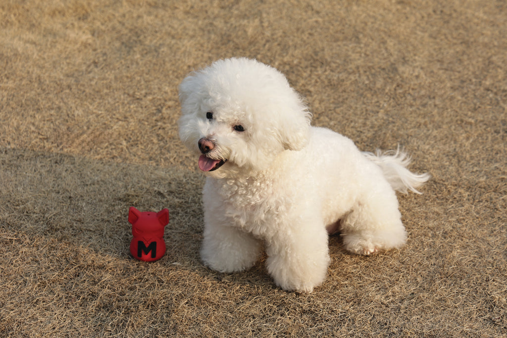 POWER CHEW Dog toy Ruby