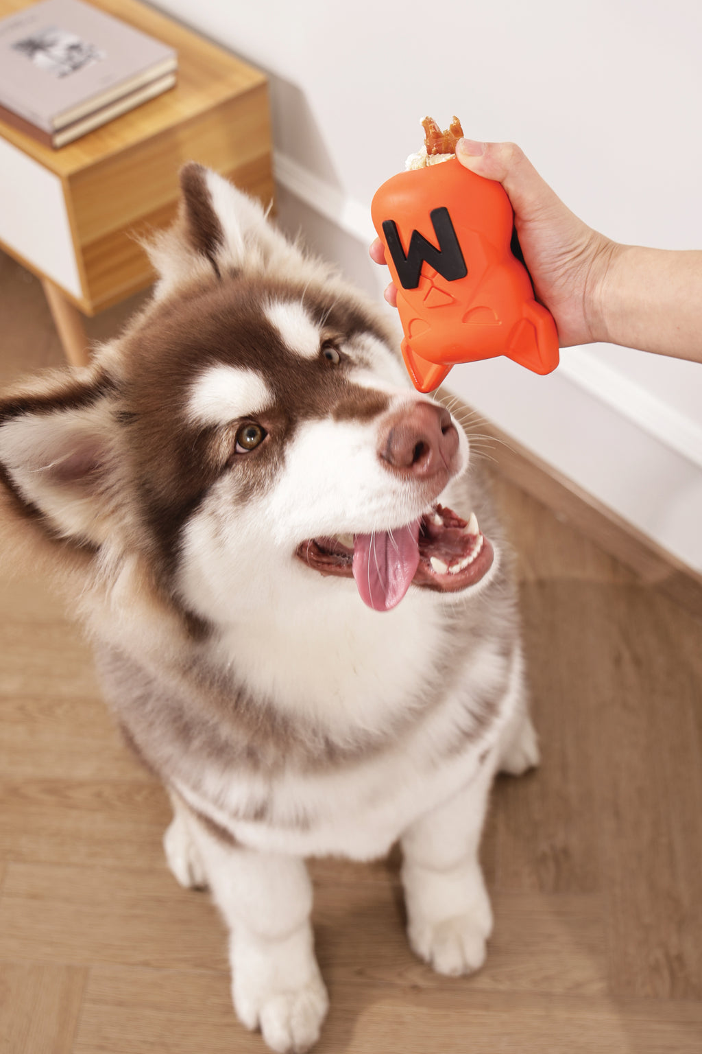 POWER CHEW Dog toy Citrine