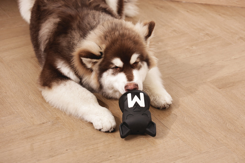 POWER CHEW Dog toy Jet