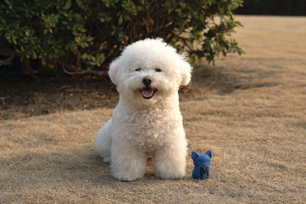 POWER CHEW Dog toy Lapis