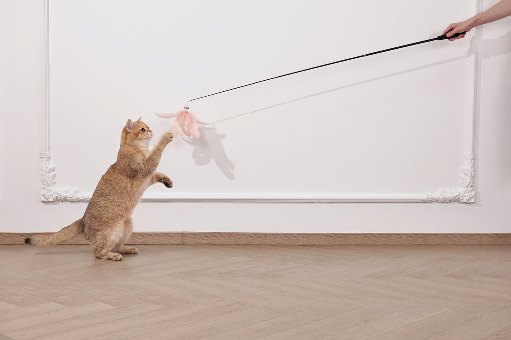 Moon cat Telescopic cat wand 3 sections Moonveil Whisper