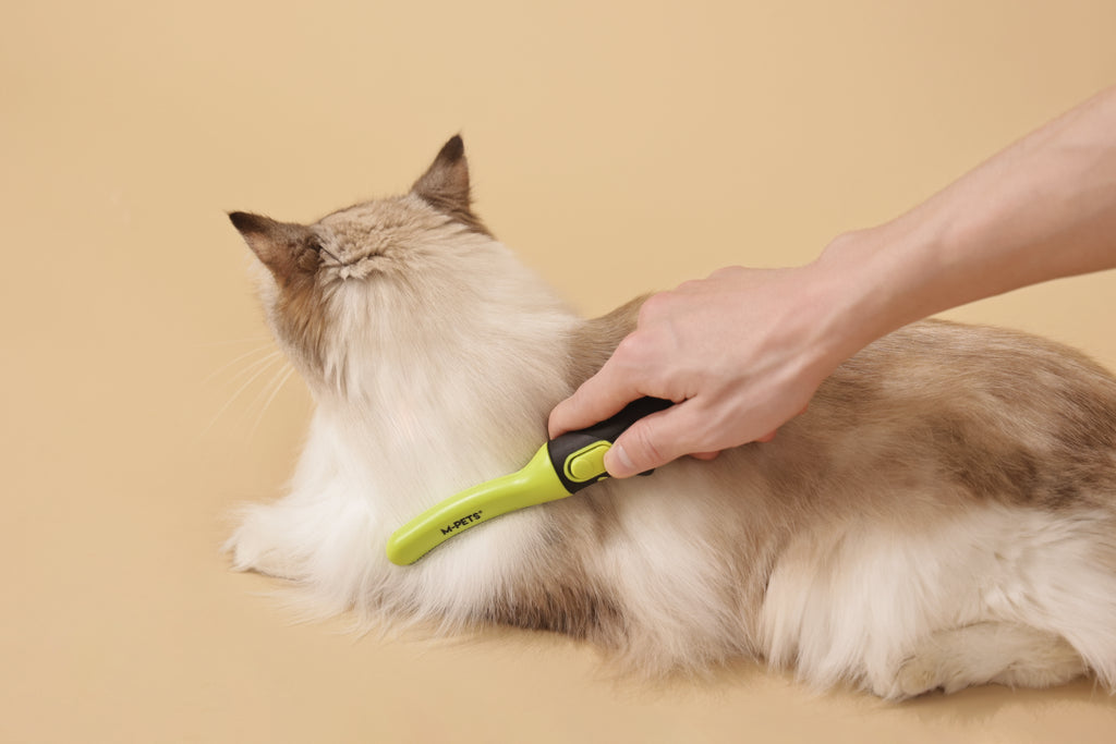 CLICK AND GROOM Curved brush