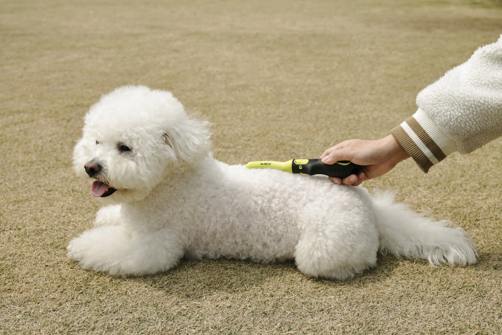 CLICK AND GROOM Curved brush