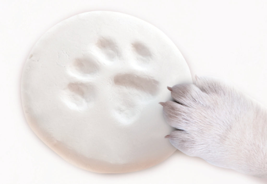 PAWVINCI Paw print kit