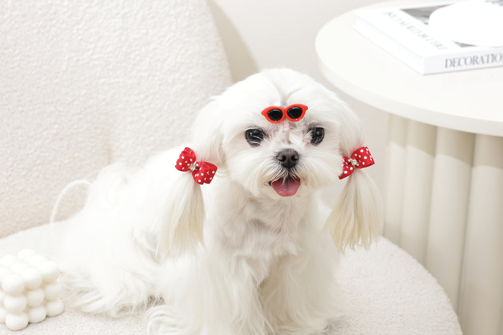 GLAM Accessori per capelli per animali clip e elastico - Rosso