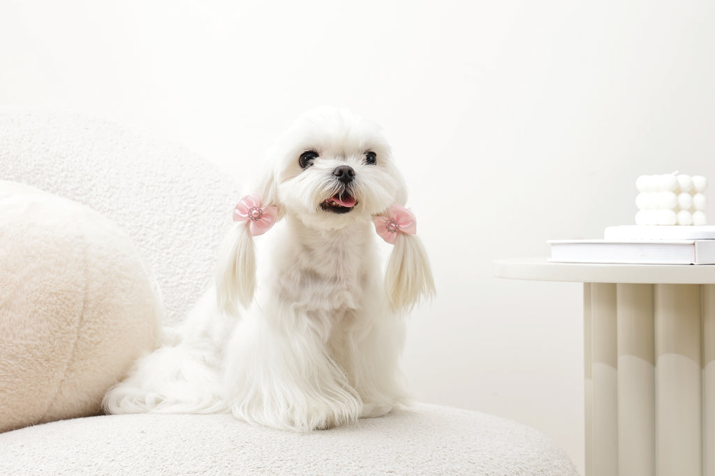 GLAM Accessori per capelli per animali elastico con perla - Rosa