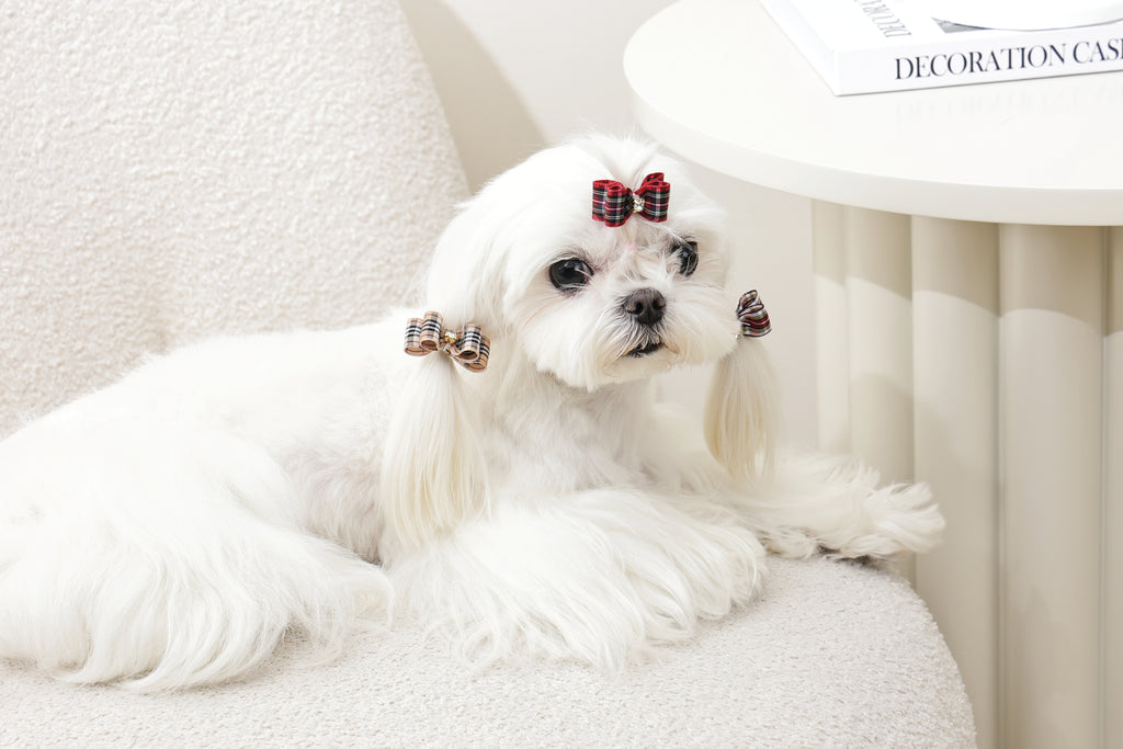 GLAM Accessori per capelli per animali clip e gomma - Rosso
