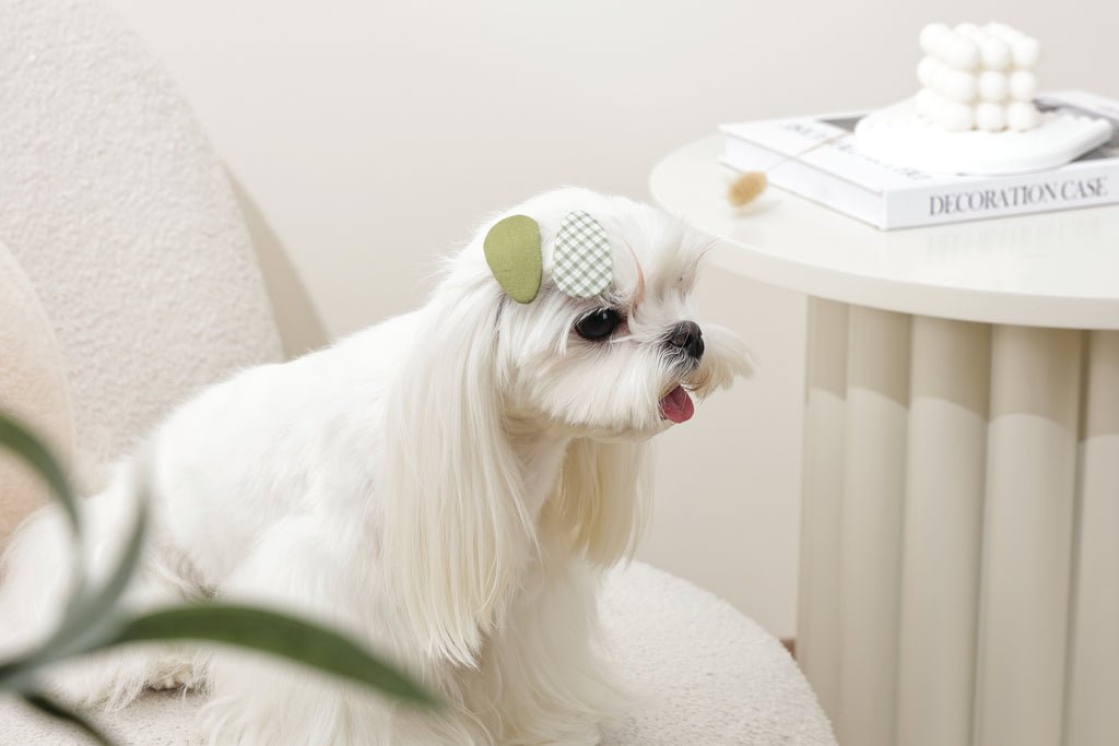 GLAM Accessori per capelli per animali clip - Verde
