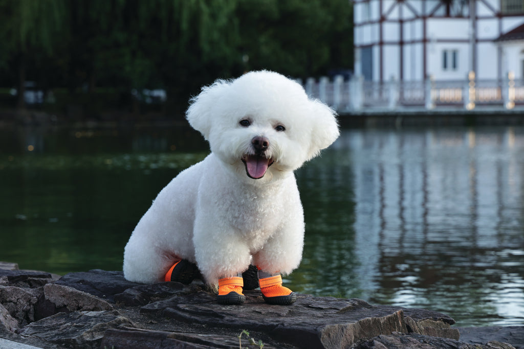 FLEXI SHOES Dog - Orange edition