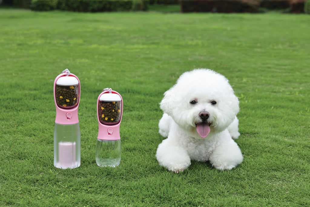 ON THE ROAD Dog water bottle 300 ml - 2 in 1 - Pink bloom