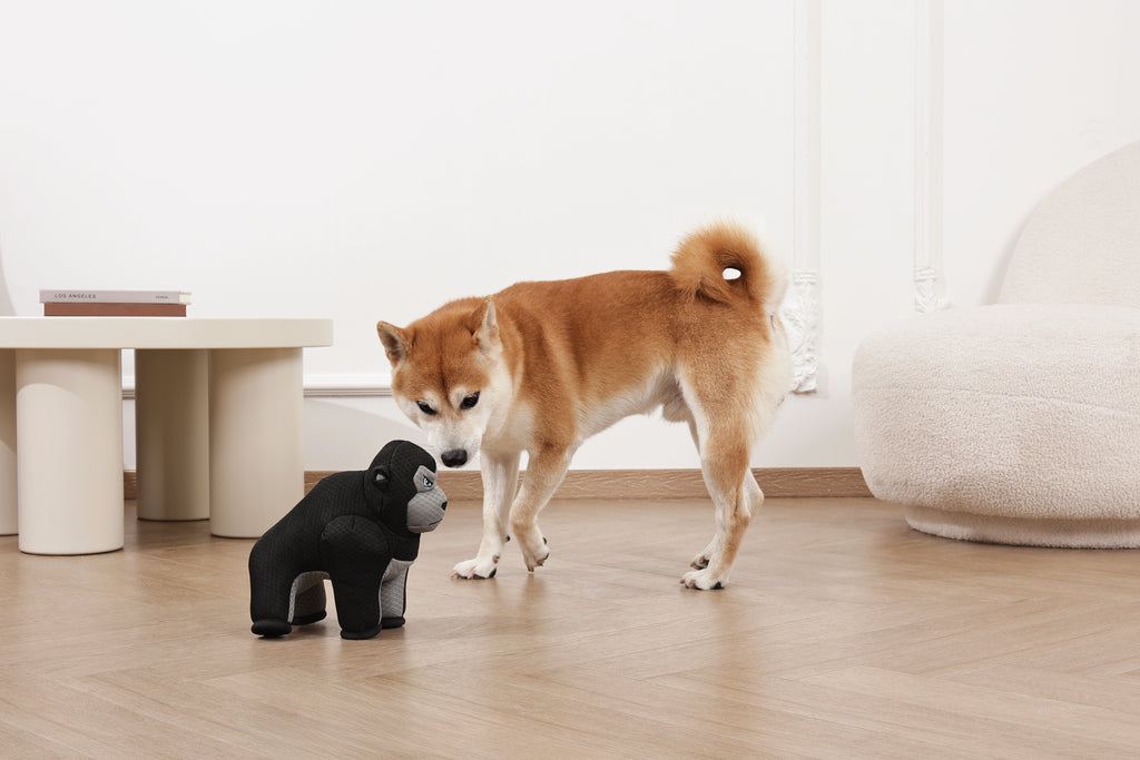 MEGA Dog toy Ape