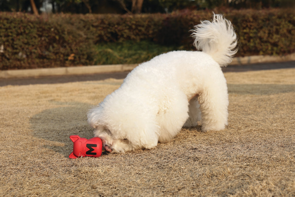 POWER CHEW Dog toy Ruby