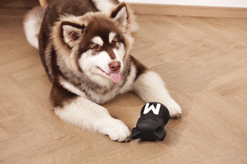 POWER CHEW Dog toy Jet