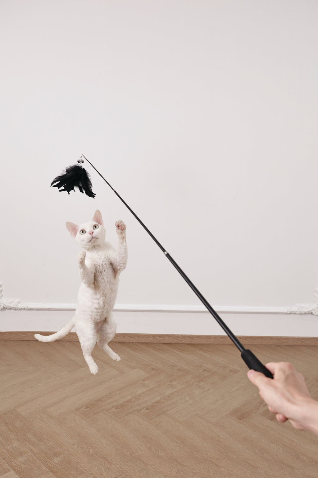 Moon cat Telescopic cat wand 3 sections Moonveil Whisper